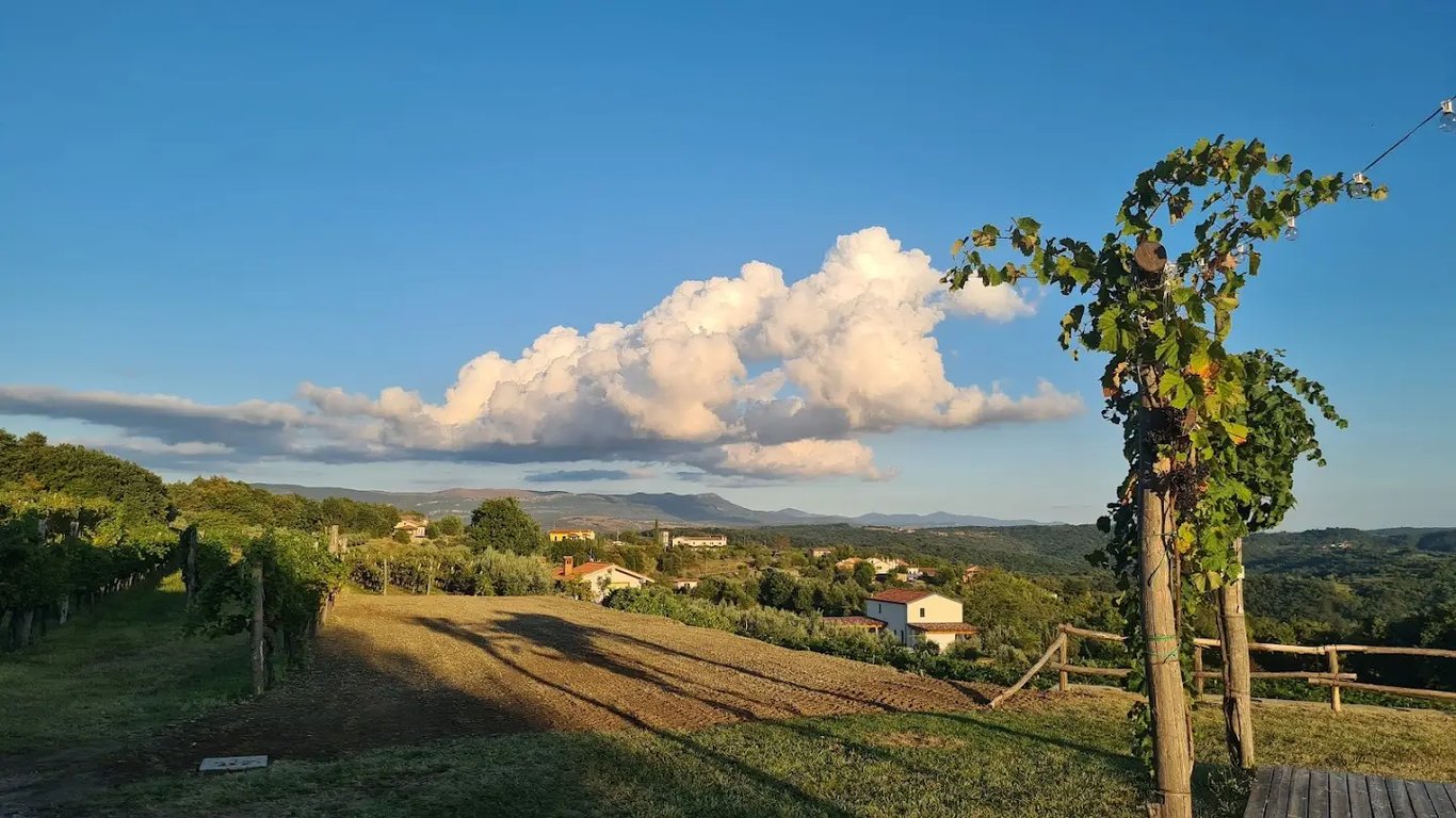 Organic Winery Rodica