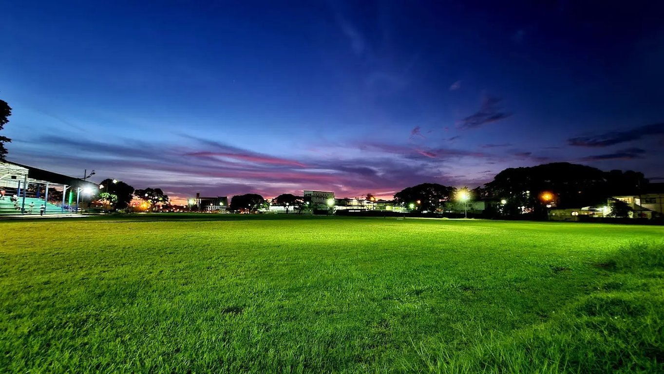 Skinner Park