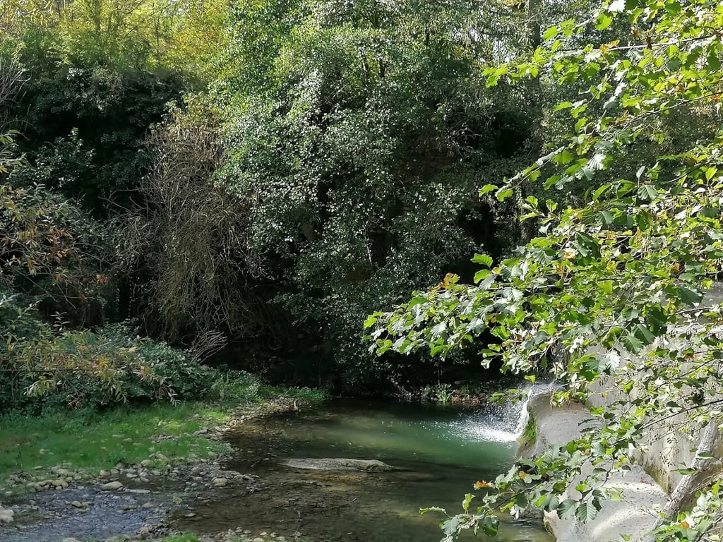 PalaScapirano