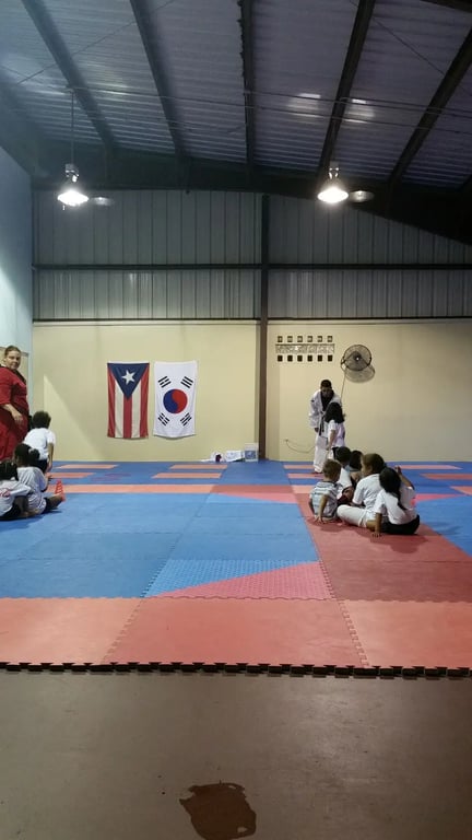 Coliseo Héctor Solá Bezares