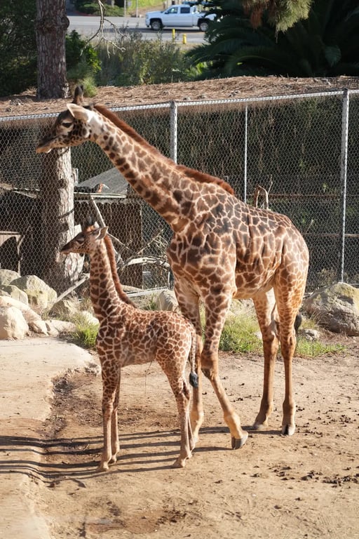 Santa Barbara Zoological Gardens
