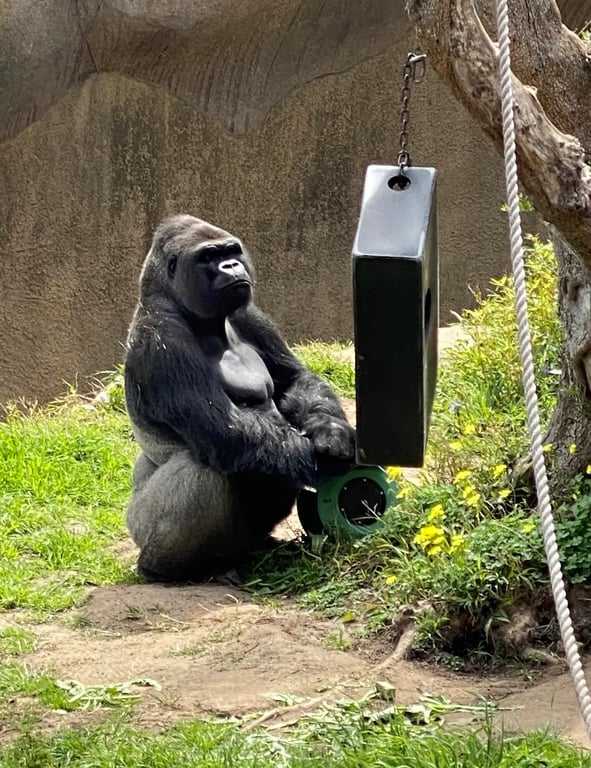 Santa Barbara Zoological Gardens