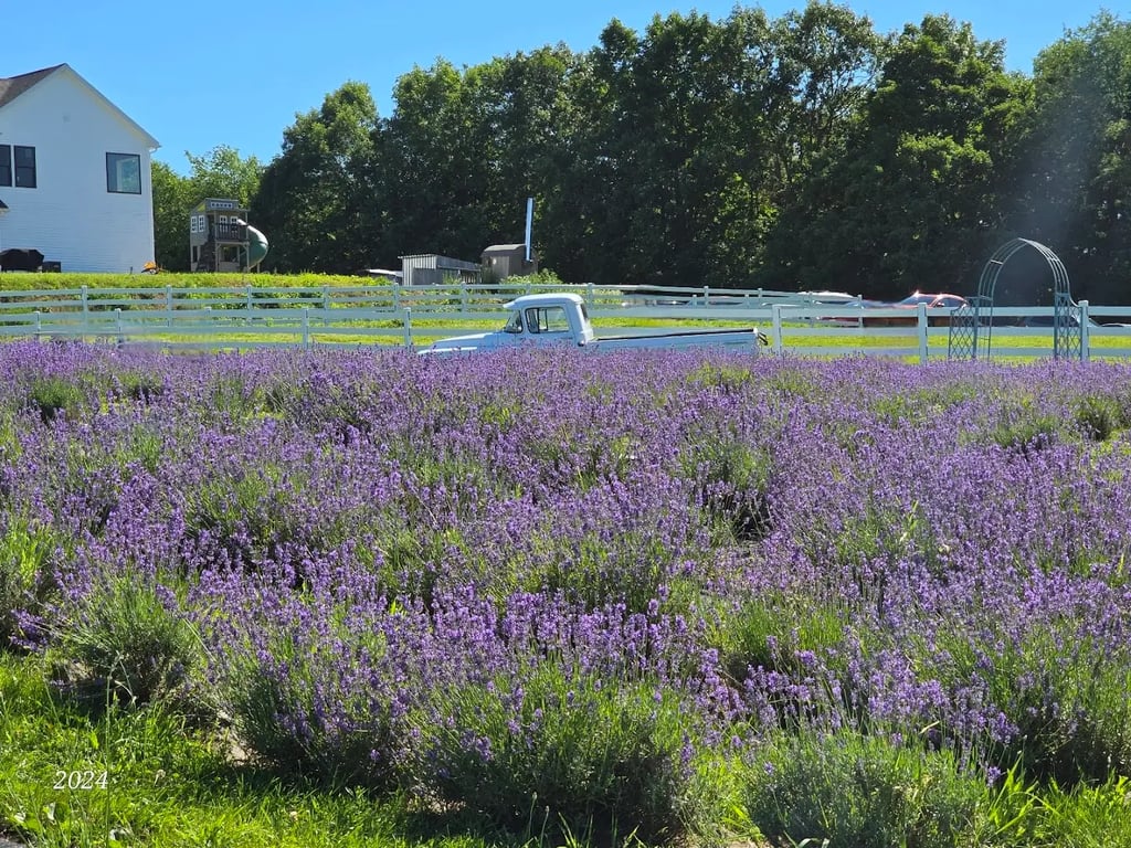 The Farm at SummitWynds