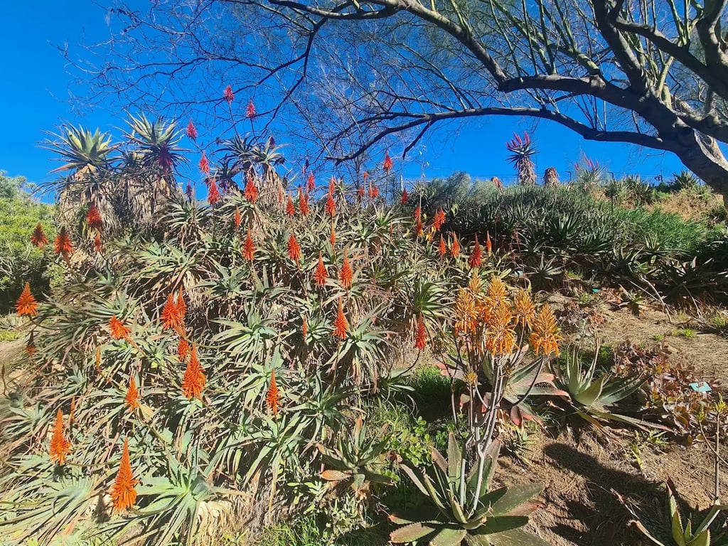 Riverside Garden