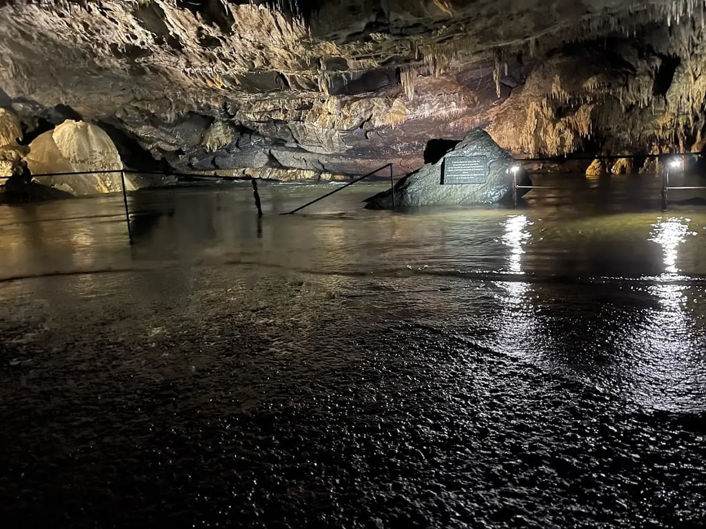 Het Domein van de Grotten van Han