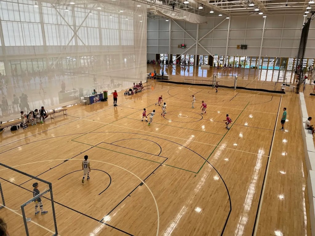 Carrara Indoor Stadium
