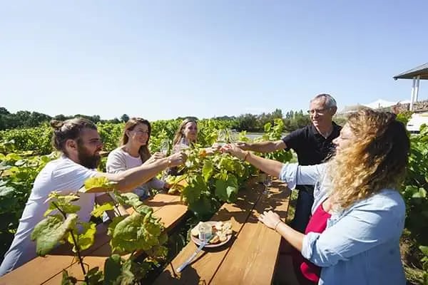 Le Vignoble Marchais