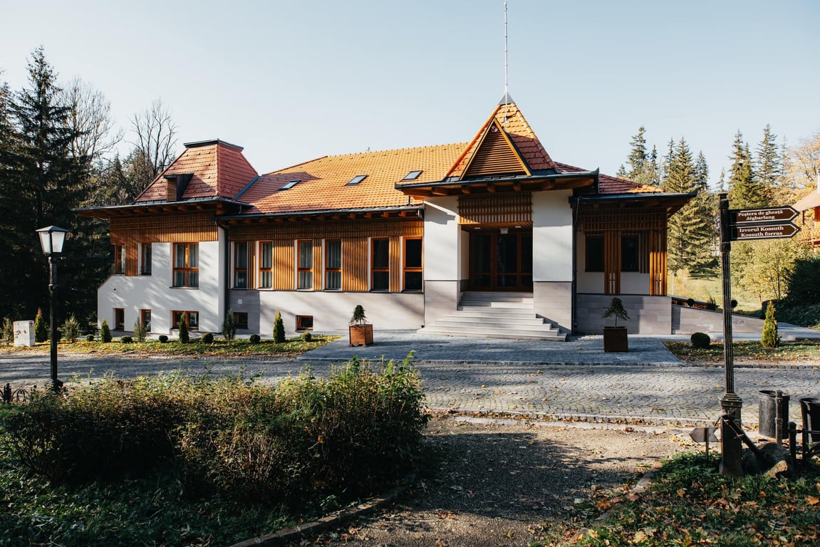 Villa Bellini Borszék