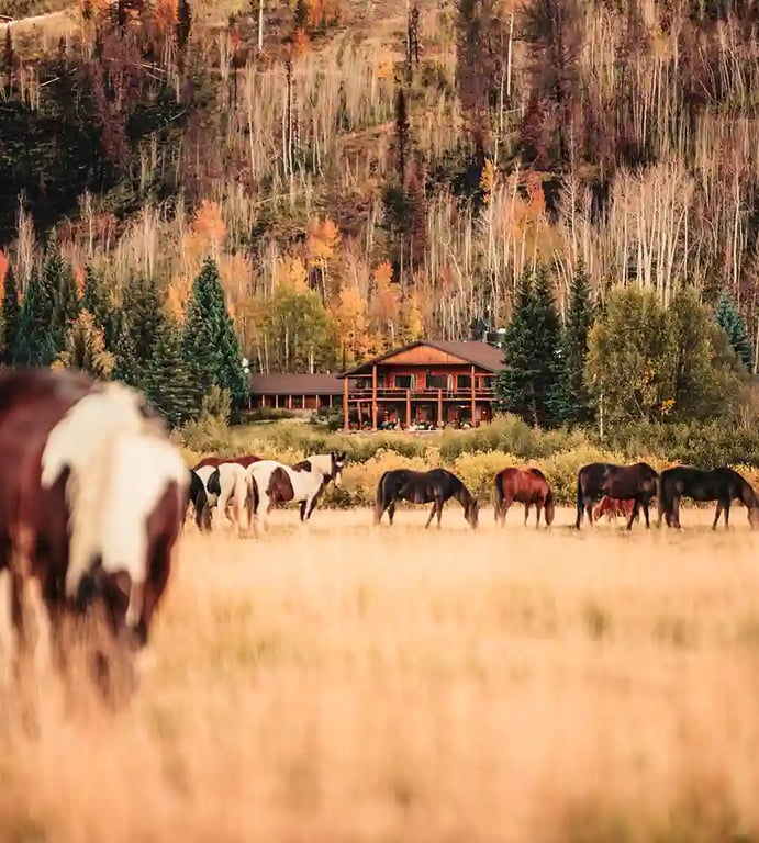 C Lazy U Ranch