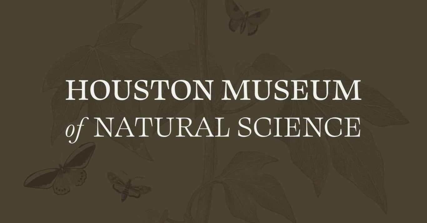 Hall of Paleontology