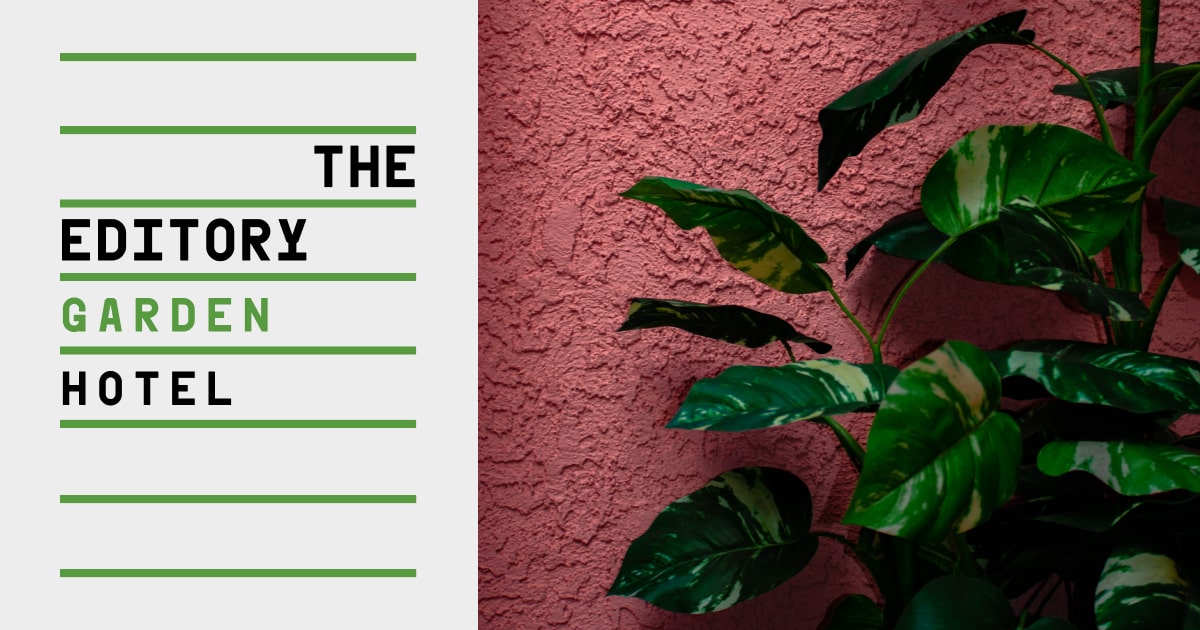 The Editory Garden Porto Hotel