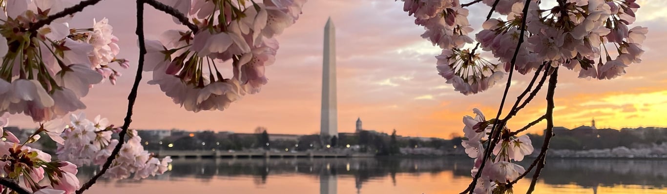 National Mall and Memorial Parks