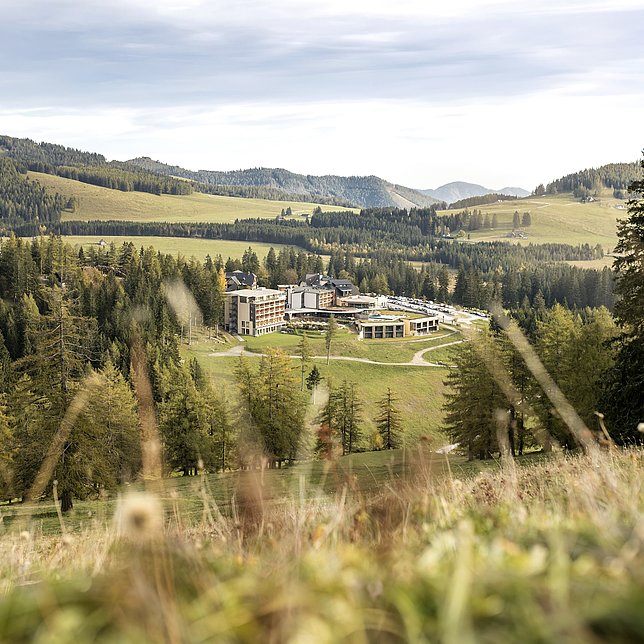 Almwellness Hotel Pierer