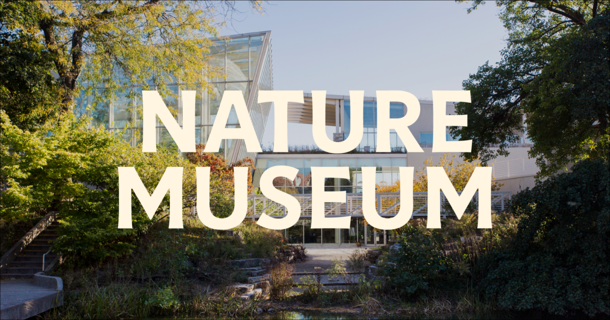The Peggy Notebaert Nature Museum