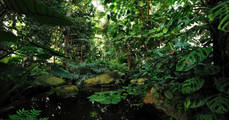 Greenhouse Botanica