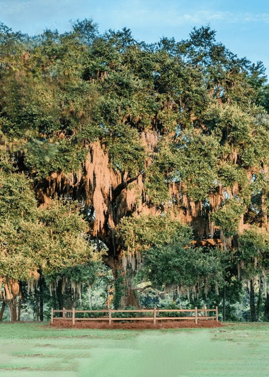 Red Gate Farms, Savannah’s Wedding and Event Venue