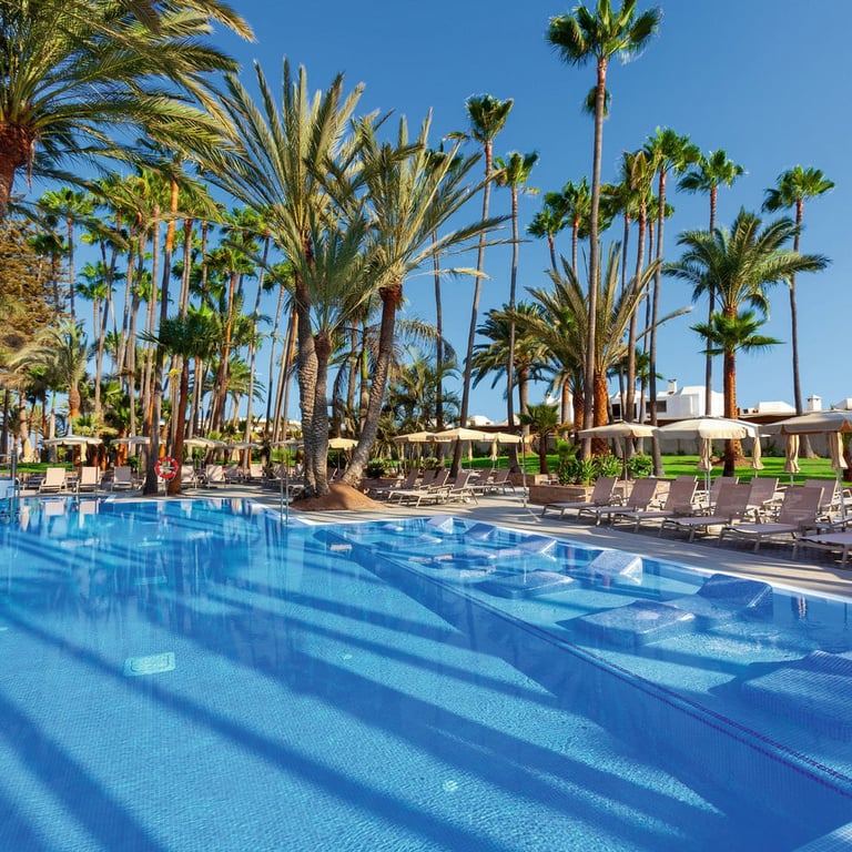 Hotel Riu Palace Oasis