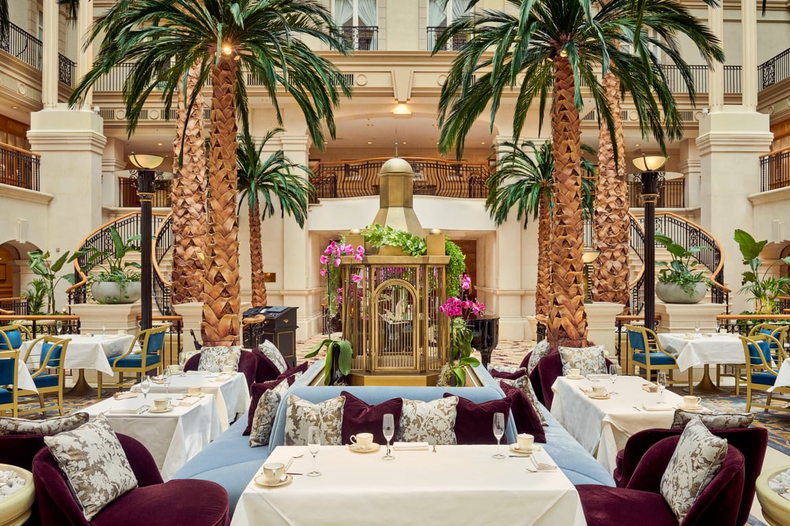 Winter Garden