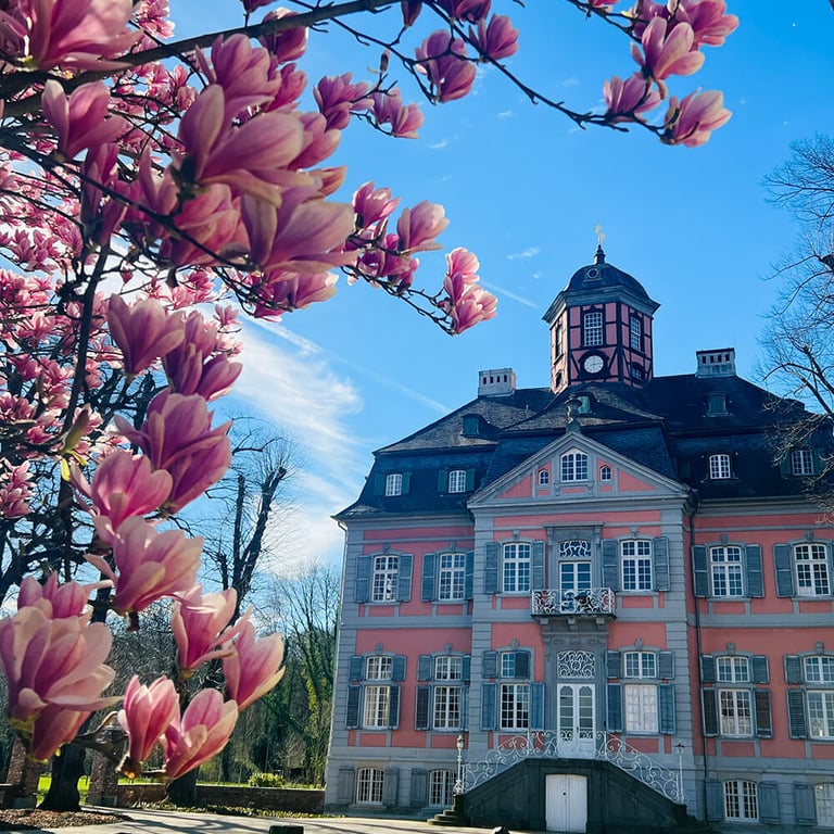 Schloss Arff