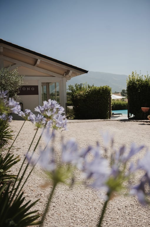 RELAIS COLLE BUONO