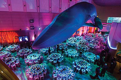 Long Beach Special Events - Aquarium of the Pacific