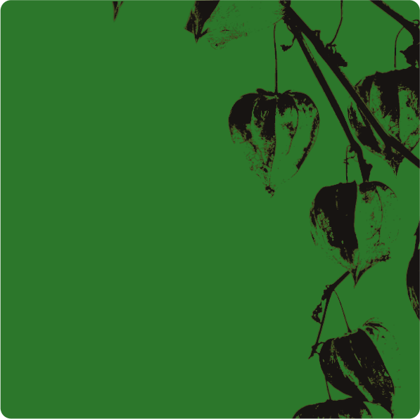 Herbarium