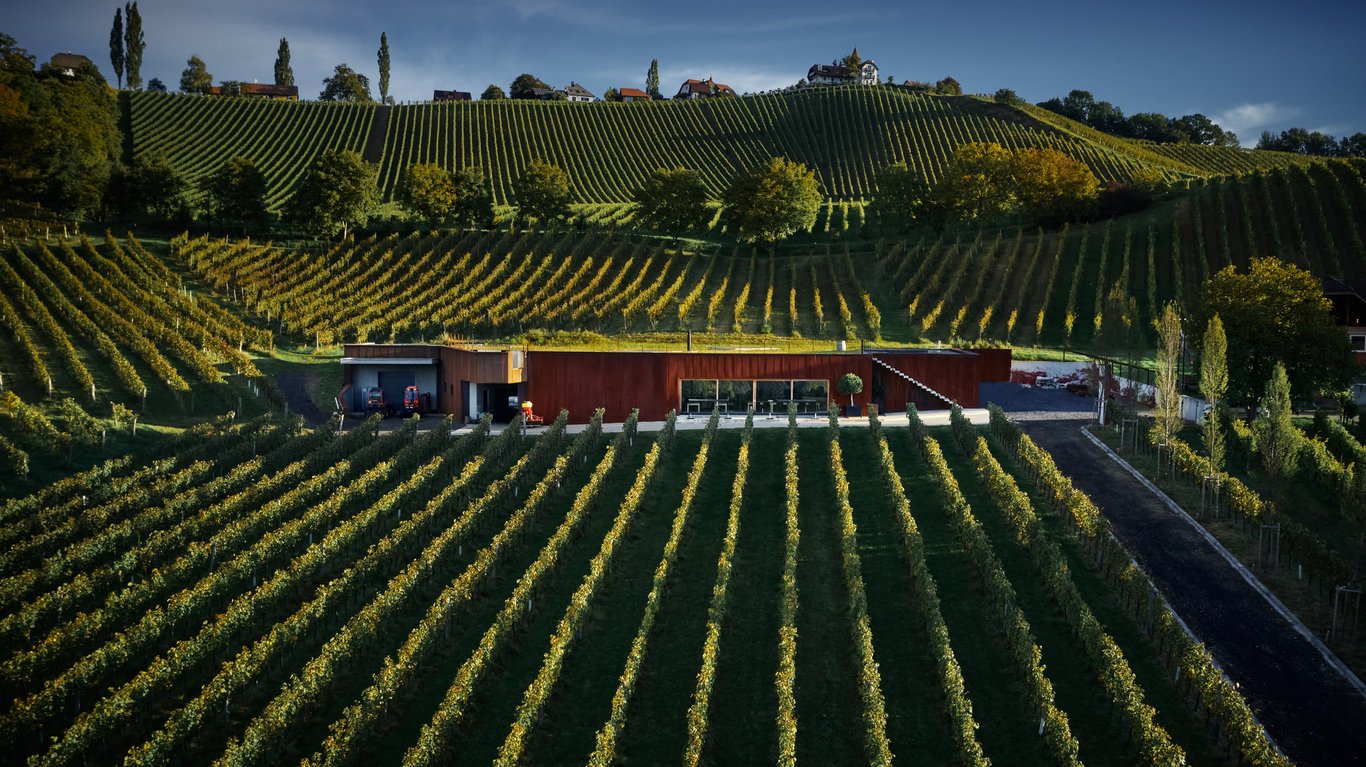 Ducal Winery