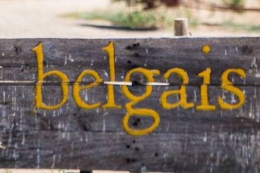 Belgais Center for Arts