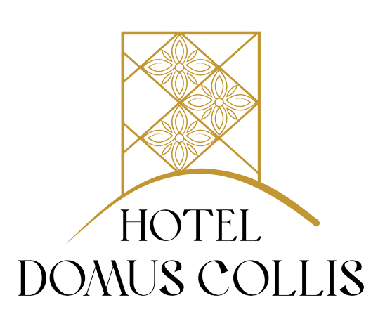 Hotel Domus Collis