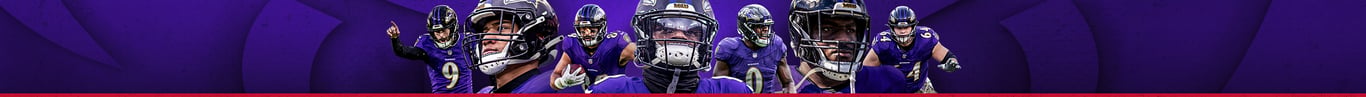 M&T Bank Stadium