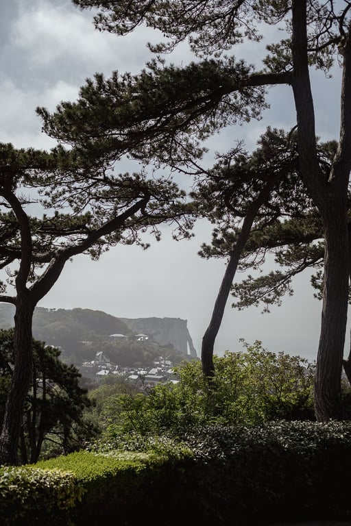 Domaine Saint Clair - Le Donjon