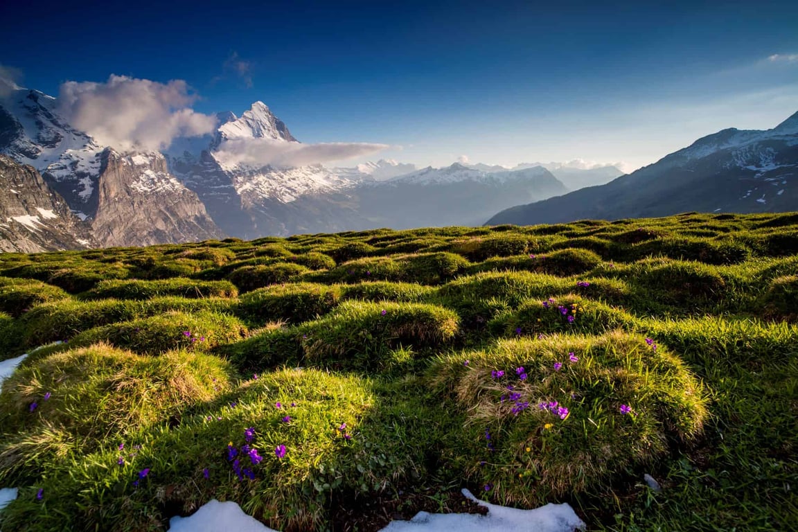 Eiger Mountain & Soul Resort