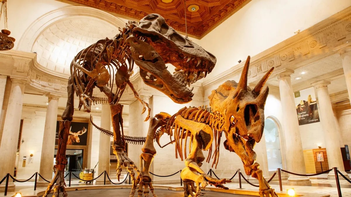 Natural History Museum of Los Angeles