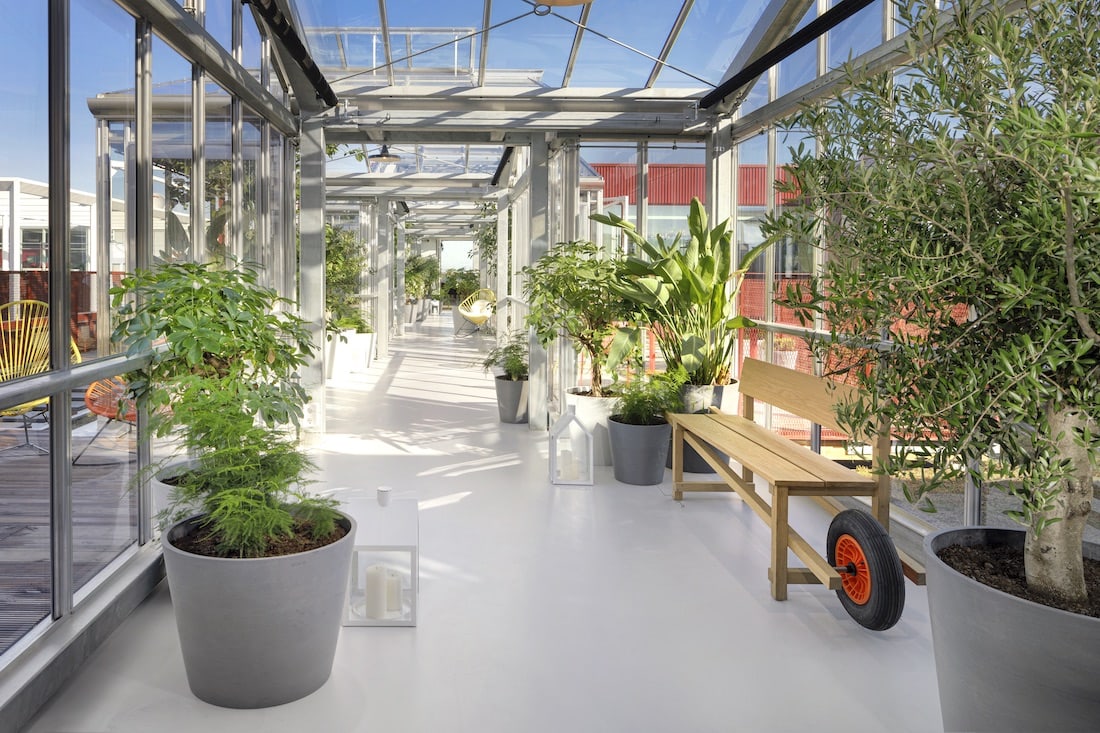 The Olive Tree Loft