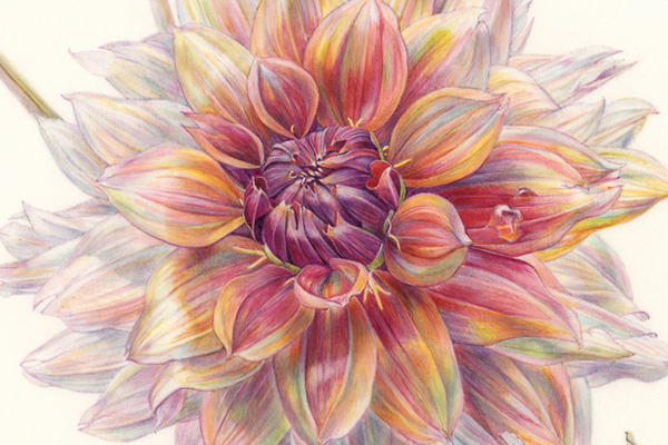 Society of Illustrators—The Museum of American Illustration
