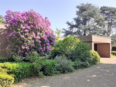 Ontmoetingscentrum De Kop