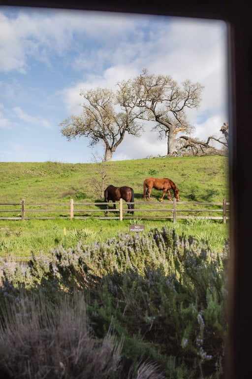 Alisal Guest Ranch & Resort