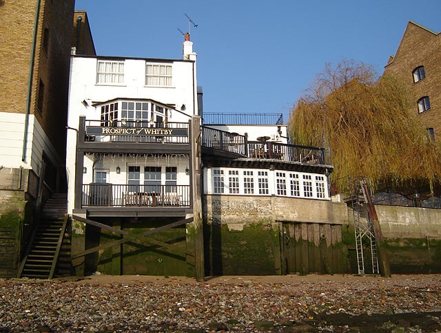 The Whiting