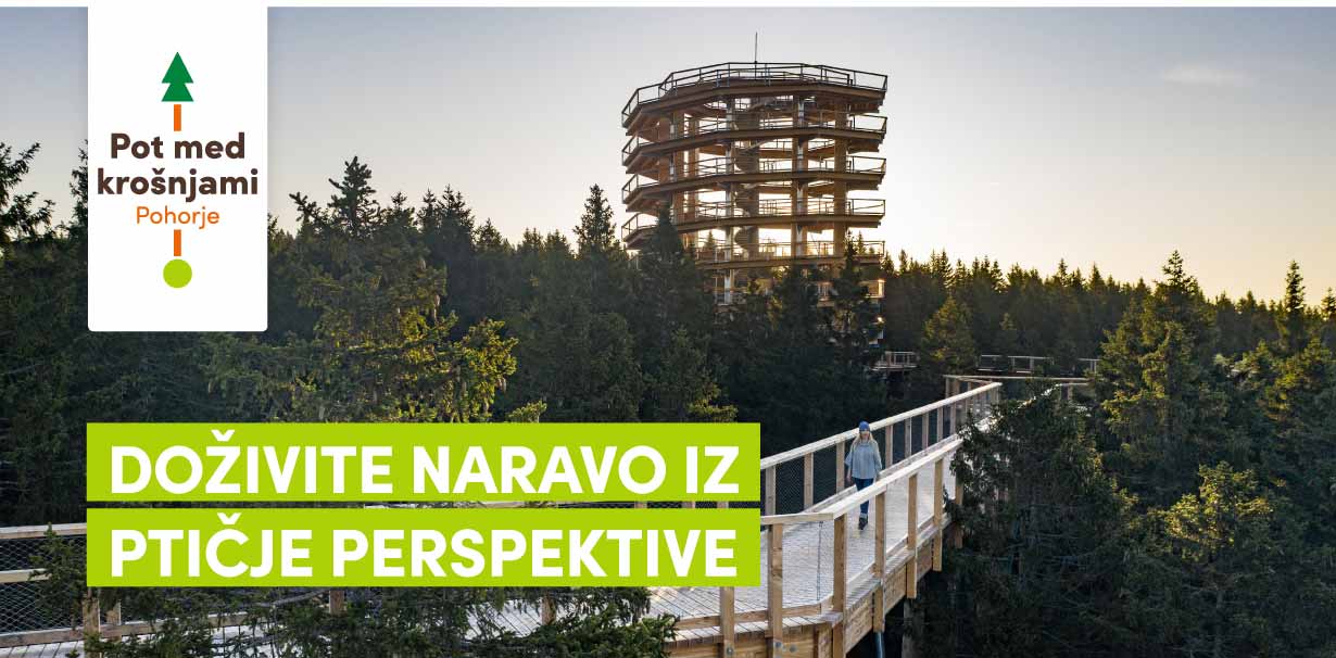Treetop Walk Pohorje