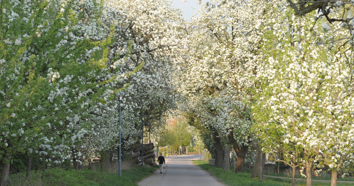 Oberhausen