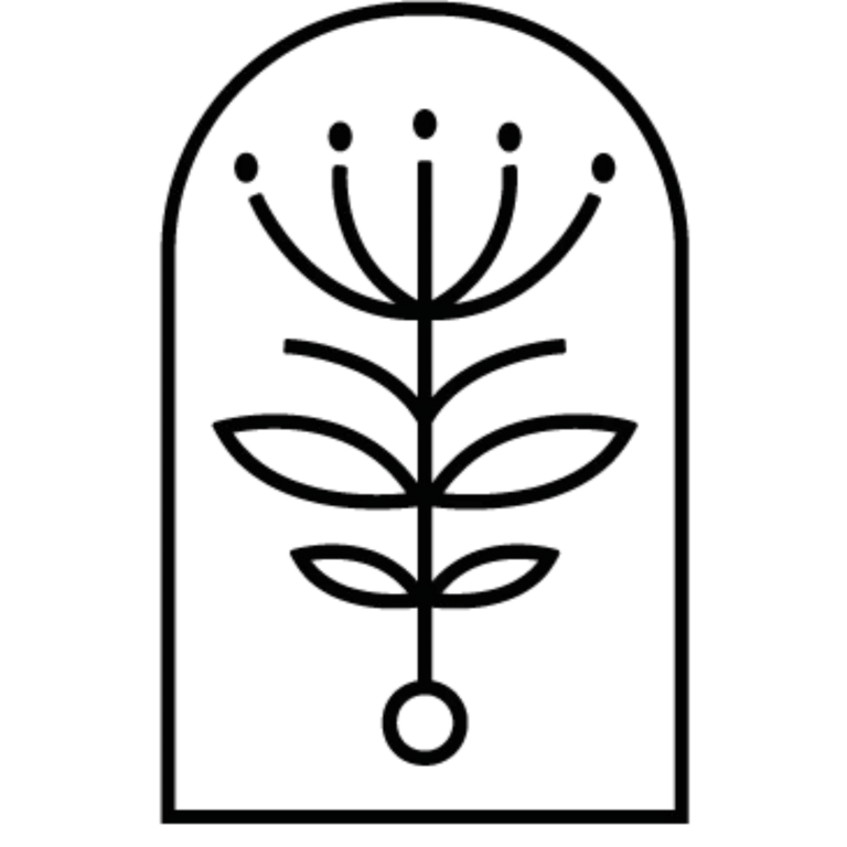 The Seed