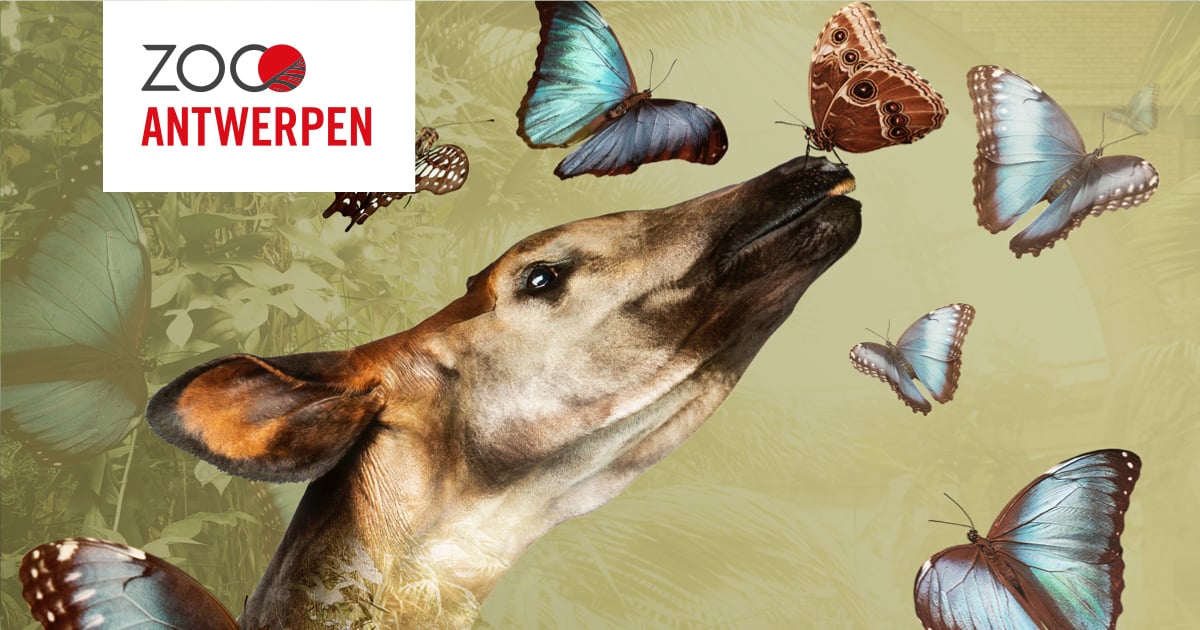 ZOO Antwerpen