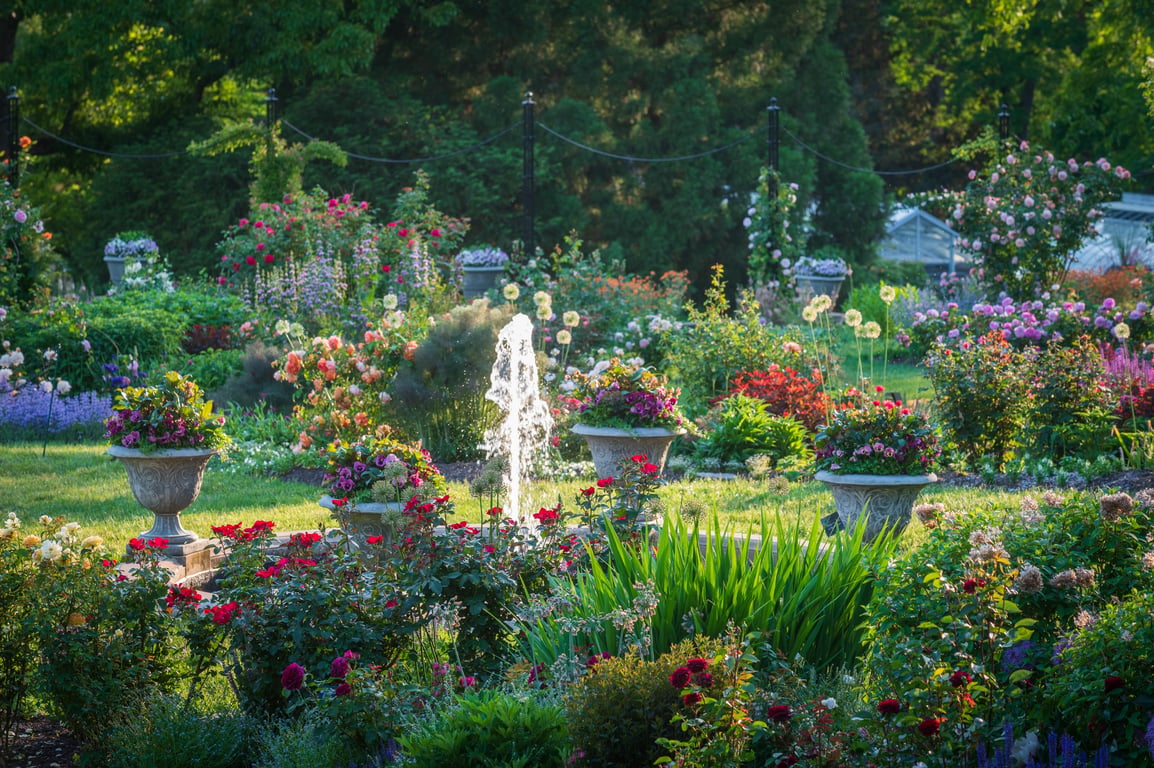 The Morris Arboretum of the University of Pennsylvania