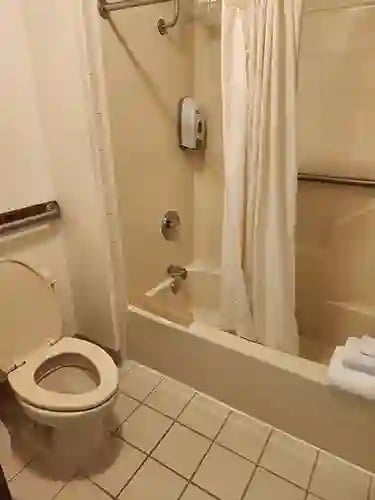 Accessible bathroom with grab bars beside the toilet and tub