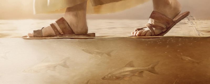 Feet in sandals walking on water