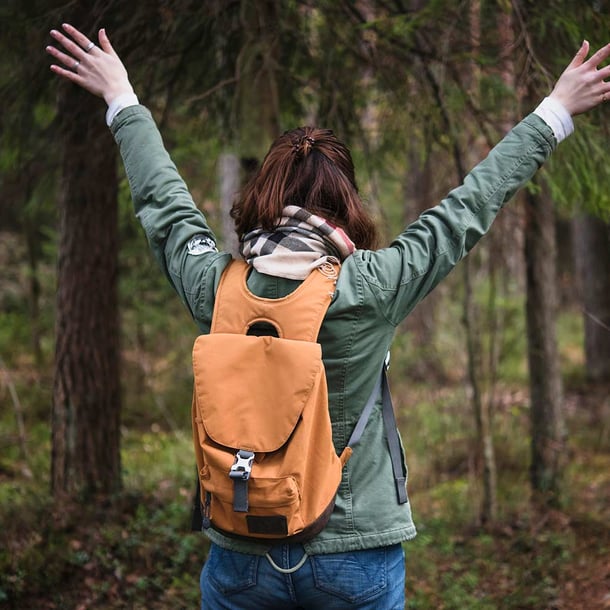 Naturgeräusche im Wald