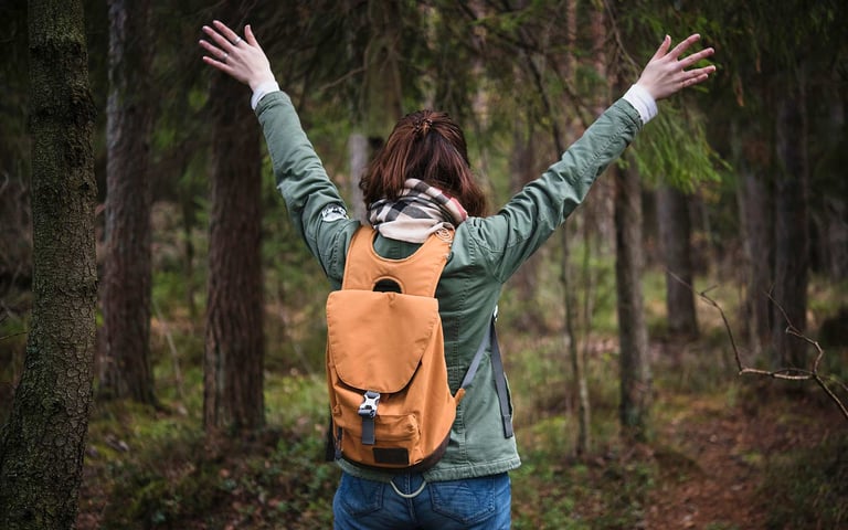 Naturgeräusche im Wald