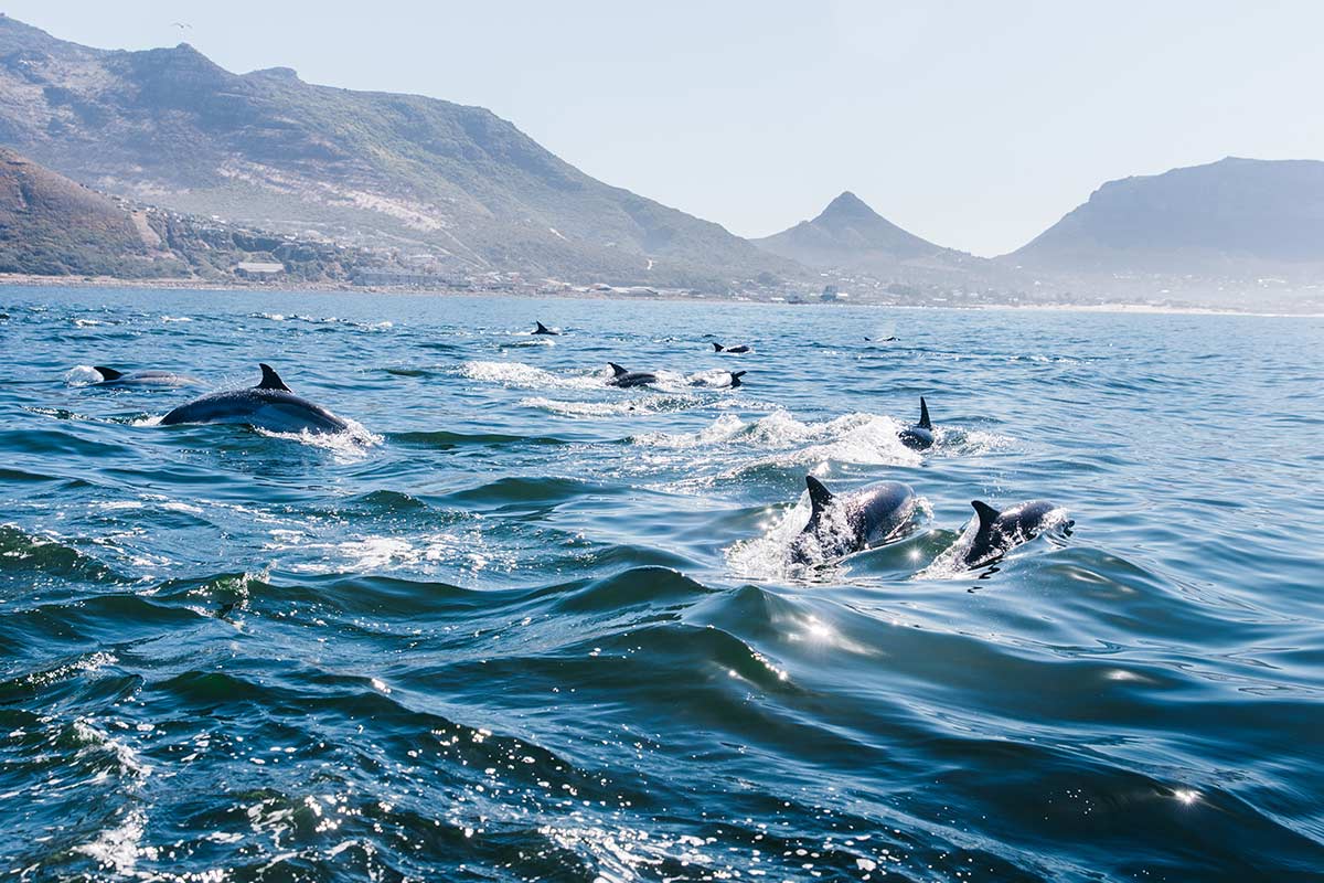 Das stetige Rauschen des Meeres hat etwas Kraftvolles und gleichzeitig Besänftigendes an sich