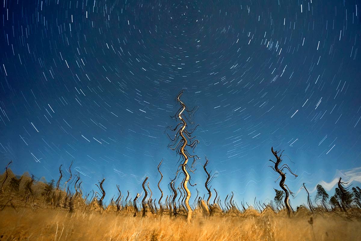 &Auml;hnlich wie beim Farbspektrum gibt es auch beim Rauschen Unterschiede in der Wirkung, Intensit&auml;t und dem Frequenzbereich