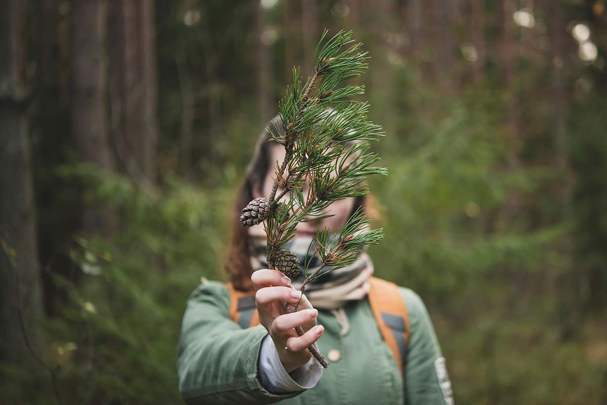 Wenn du dich hinlegst, die Augen schließt und Musik mit Naturgeräuschen hörst, kannst du den Wald und seine wohltuende Energie in deiner Fantasie wieder erwecken.